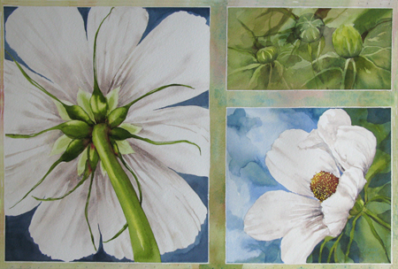 Painting Cosmos 3 views