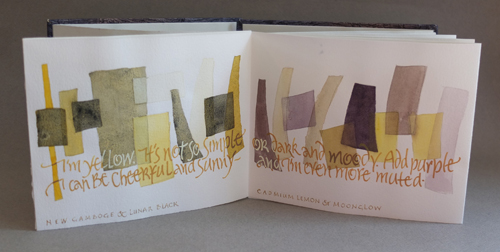 Artists Books Color Progression